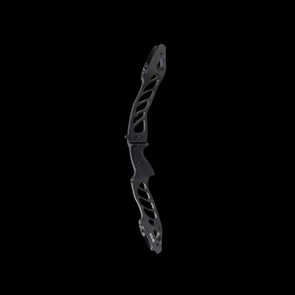 WNS QUANTUM AX 25" RISER