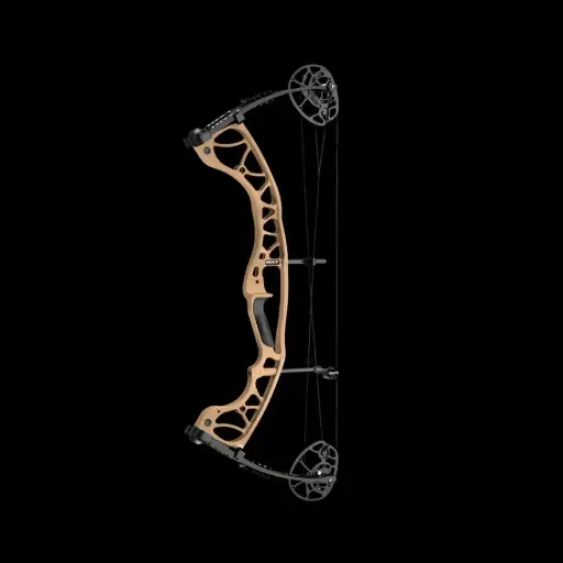HOYT TORREX