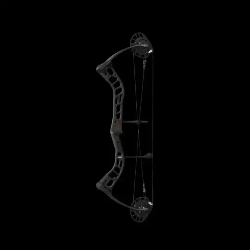 PSE BRUTE ATK