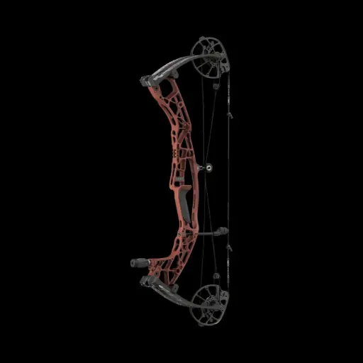 HOYT ALPHA AX-3 29